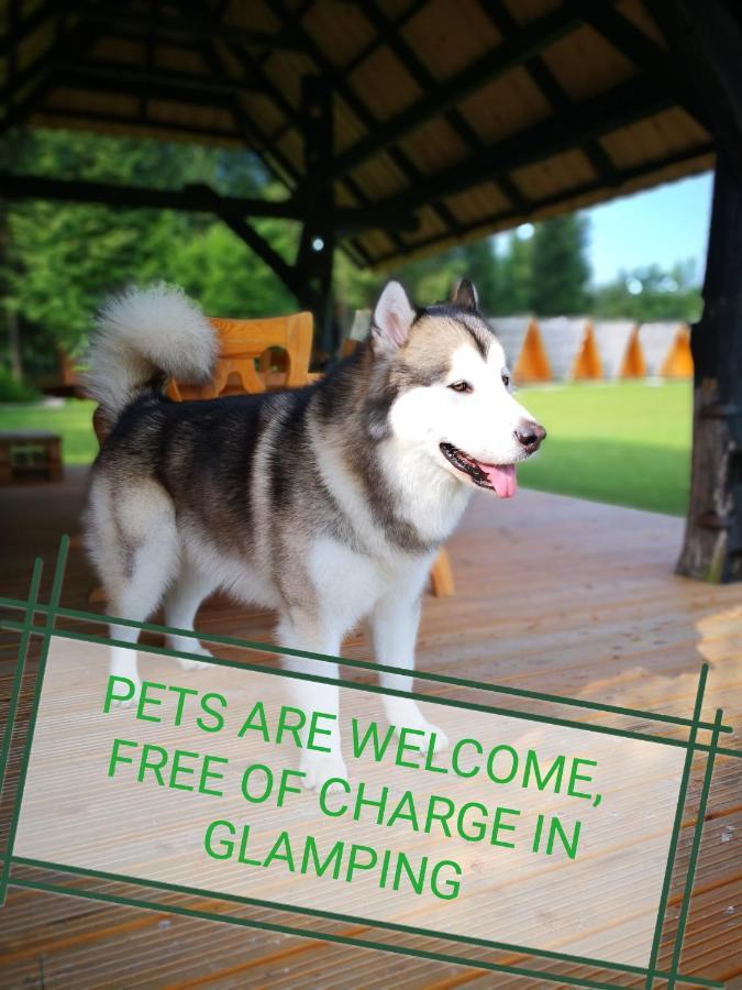 Glamping Forest Edge Камник Екстериор снимка