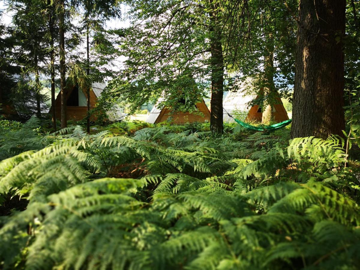 Glamping Forest Edge Камник Екстериор снимка